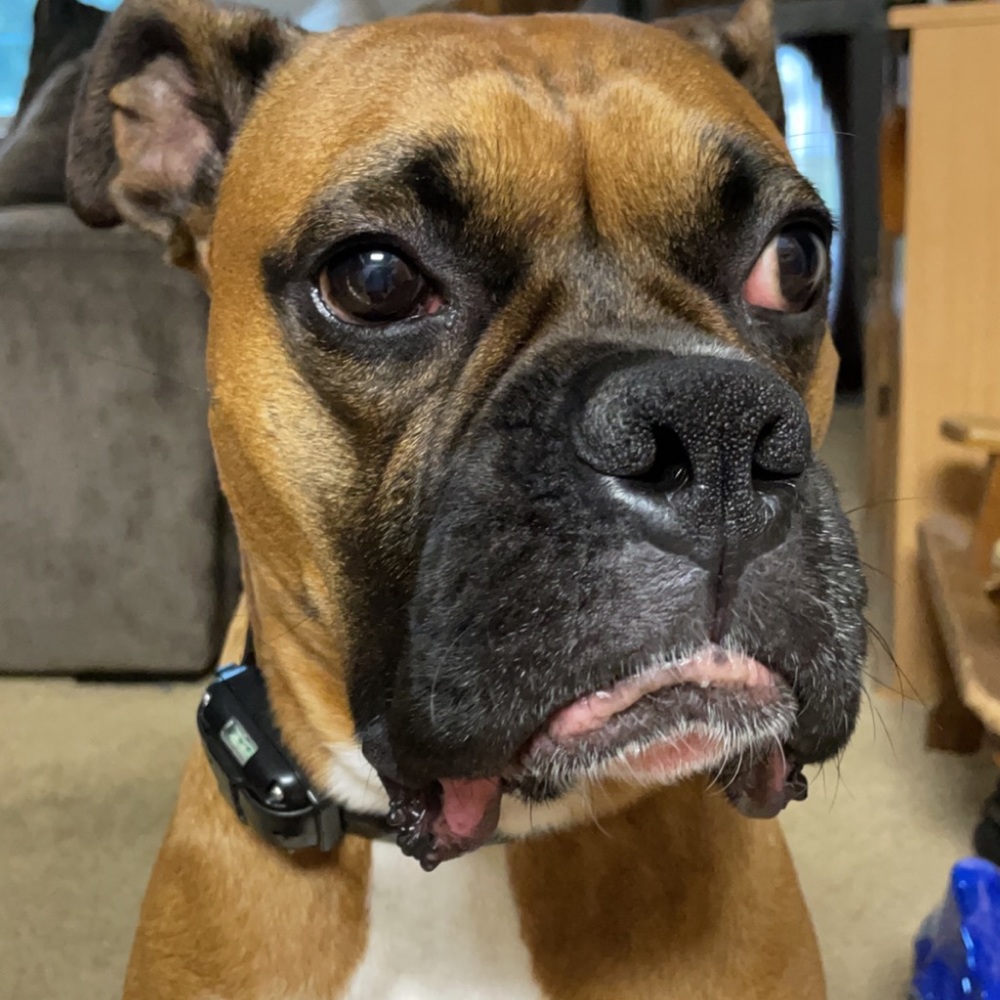 Meet your Posher, Analia